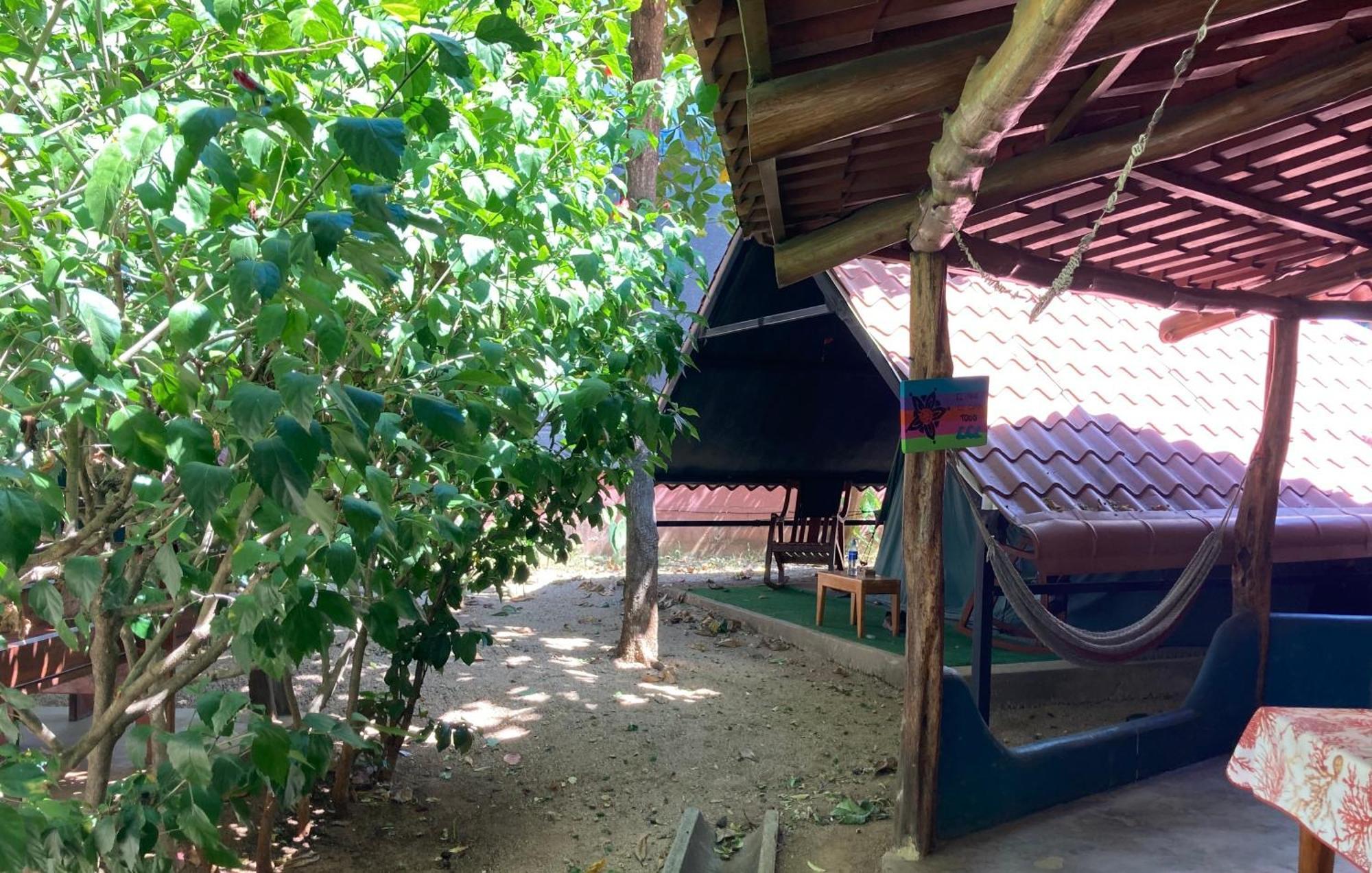 Tamahostel & Glamping 타마린도 외부 사진